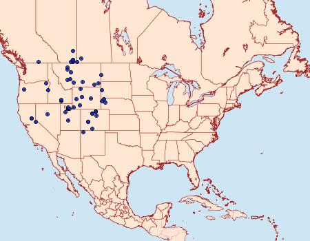 Distribution Data for Euphilotes ancilla