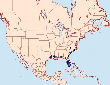 Distribution Data for Calephelis virginiensis