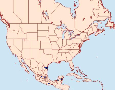 Distribution Data for Hamadryas guatemalena