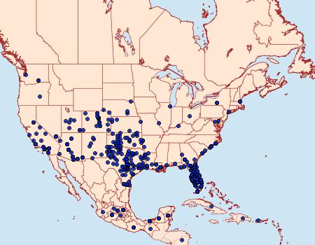 Distribution Data for Danaus gilippus