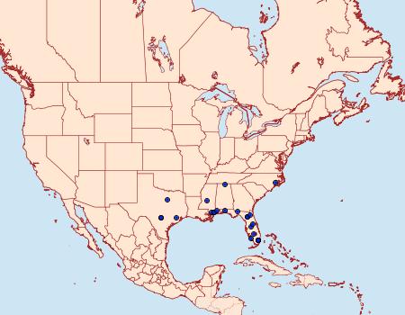 Distribution Data for Lithacodes gracea