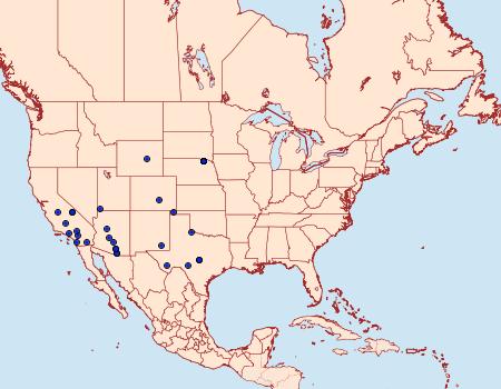 Distribution Data for Frechinia laetalis