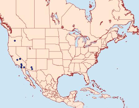 Distribution Data for Noctueliopsis virula