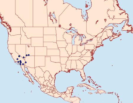 Distribution Data for Arenochroa flavalis