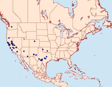 Distribution Data for Pyrausta nexalis