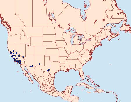 Distribution Data for Pyrausta napaealis