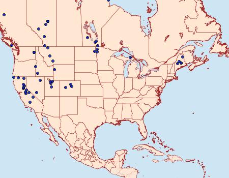 Distribution Data for Pyrausta nicalis