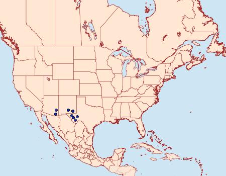 Distribution Data for Pyrausta flavibrunnea