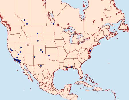 Distribution Data for Thaumatopsis fernaldella