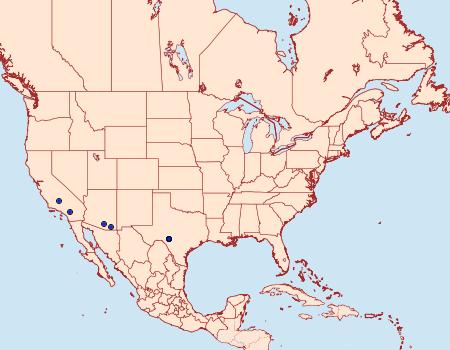 Distribution Data for Pococera griseella