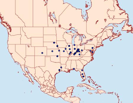 Distribution Data for Pococera humerella