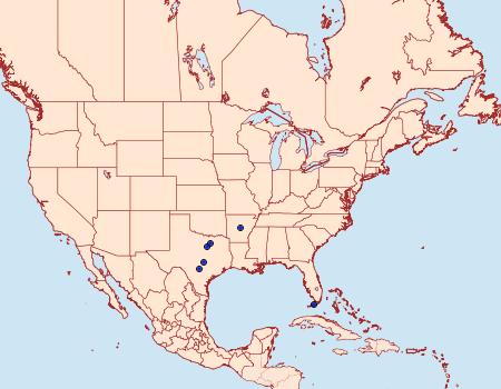 Distribution Data for Pococera euphemella