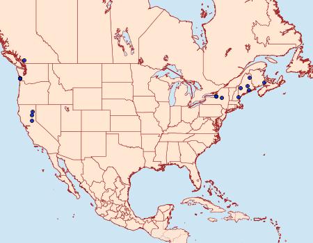 Distribution Data for Caloptilia alnicolella