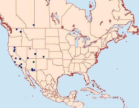 Distribution Data for Coenochroa californiella