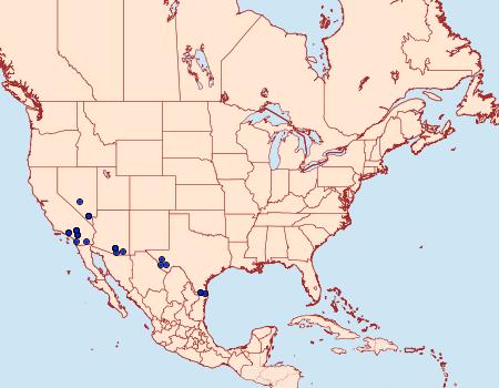Distribution Data for Frederickia maricopa