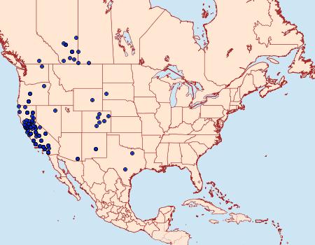 Distribution Data for Digrammia californiaria