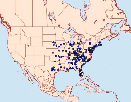 Distribution Data for Glenoides texanaria