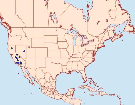 Distribution Data for Glaucina gonia