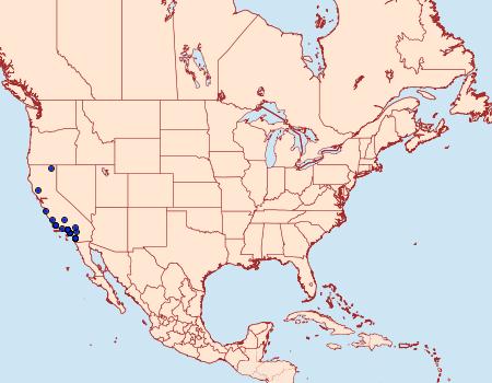 Distribution Data for Iridopsis fragilaria