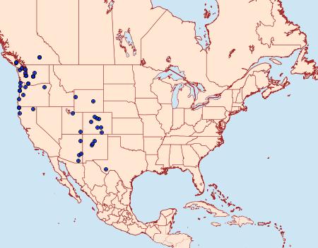 Distribution Data for Iridopsis emasculatum
