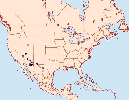 Distribution Data for Caripeta ocellaria