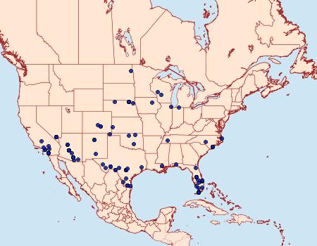 Distribution Data for Lobocleta plemyraria