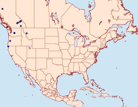 Distribution Data for Antepirrhoe fasciata
