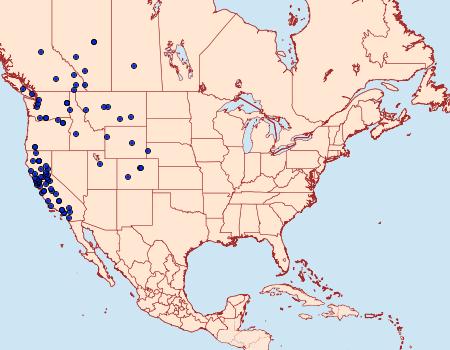 Distribution Data for Epirrhoe plebeculata