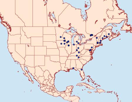 Distribution Data for Phyllonorycter lucetiella