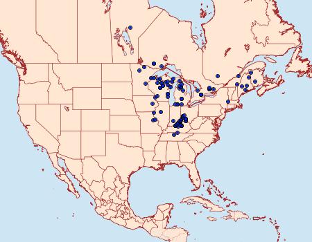 Distribution Data for Sphinx canadensis