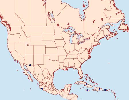 Distribution Data for Isognathus rimosa