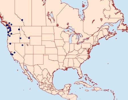 Distribution Data for Pheosia californica