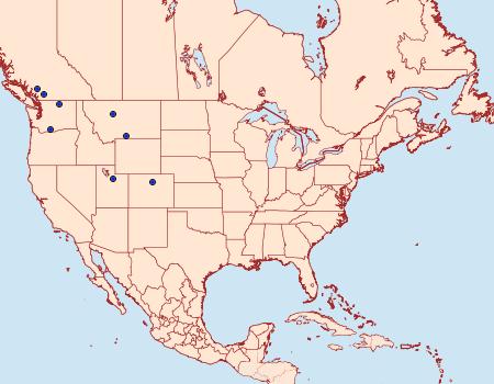 Distribution Data for Furcula gigans