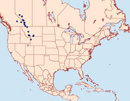 Distribution Data for Chelis beanii