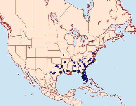 Distribution Data for Dasychira meridionalis