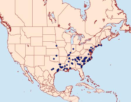 Distribution Data for Hypenopsis calusa
