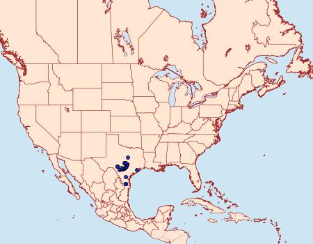 Distribution Data for Goniapteryx servia