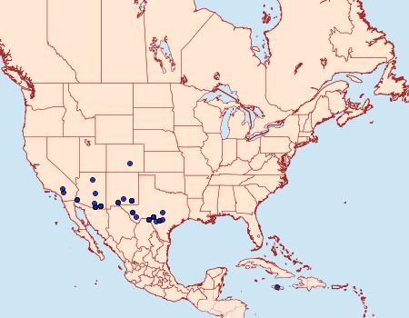Distribution Data for Melipotis novanda