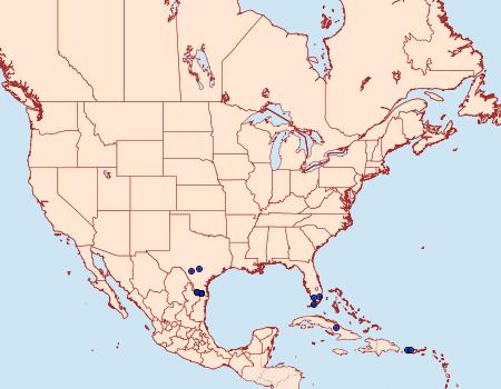 Distribution Data for Latebraria amphipyroides