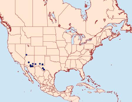Distribution Data for Lesmone griseipennis