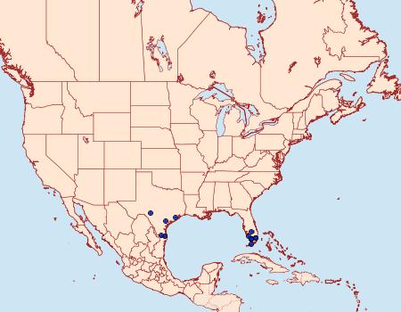 Distribution Data for Coxina cinctipalpis