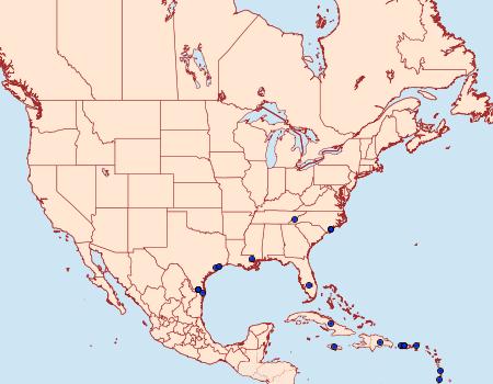 Distribution Data for Ophisma tropicalis