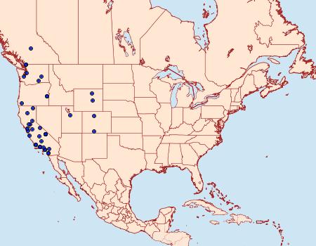 Distribution Data for Catocala faustina
