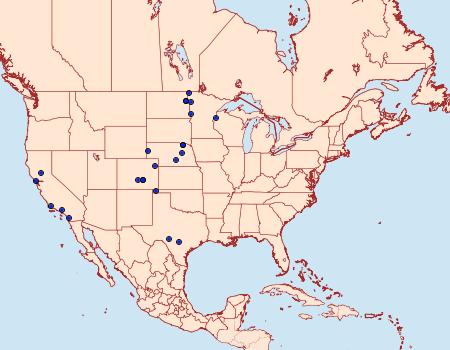 Distribution Data for Exaeretia gracilis