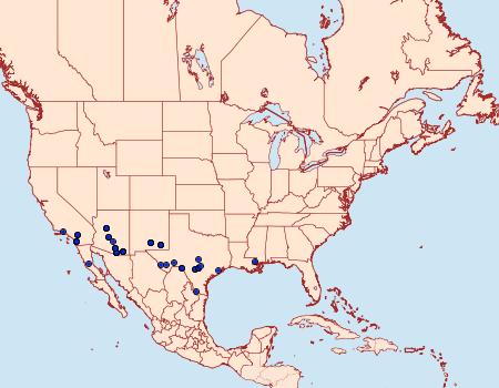 Distribution Data for Ponometia venustula