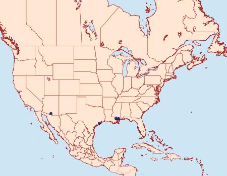 Distribution Data for Ponometia bruchi