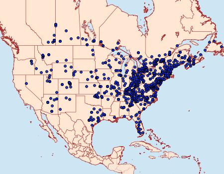Distribution Data for Acronicta americana