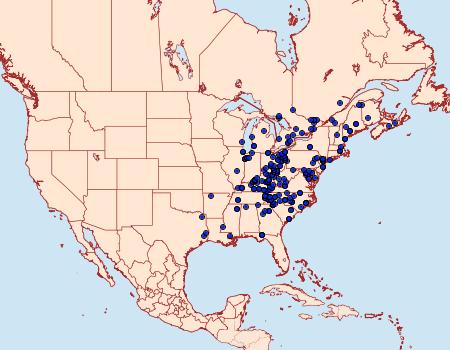 Distribution Data for Acronicta haesitata