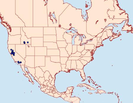 Distribution Data for Eudryas brevipennis
