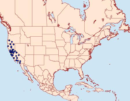 Distribution Data for Amphipoea lunata